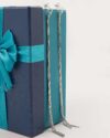 گوشواره میخی آویزدار - نقره ای - نقره ای