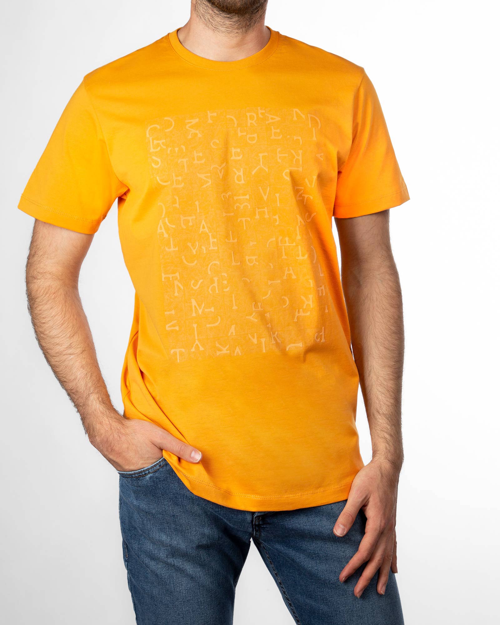 تیشرت طرج چاپی مردانه 2013- عسلی (1)