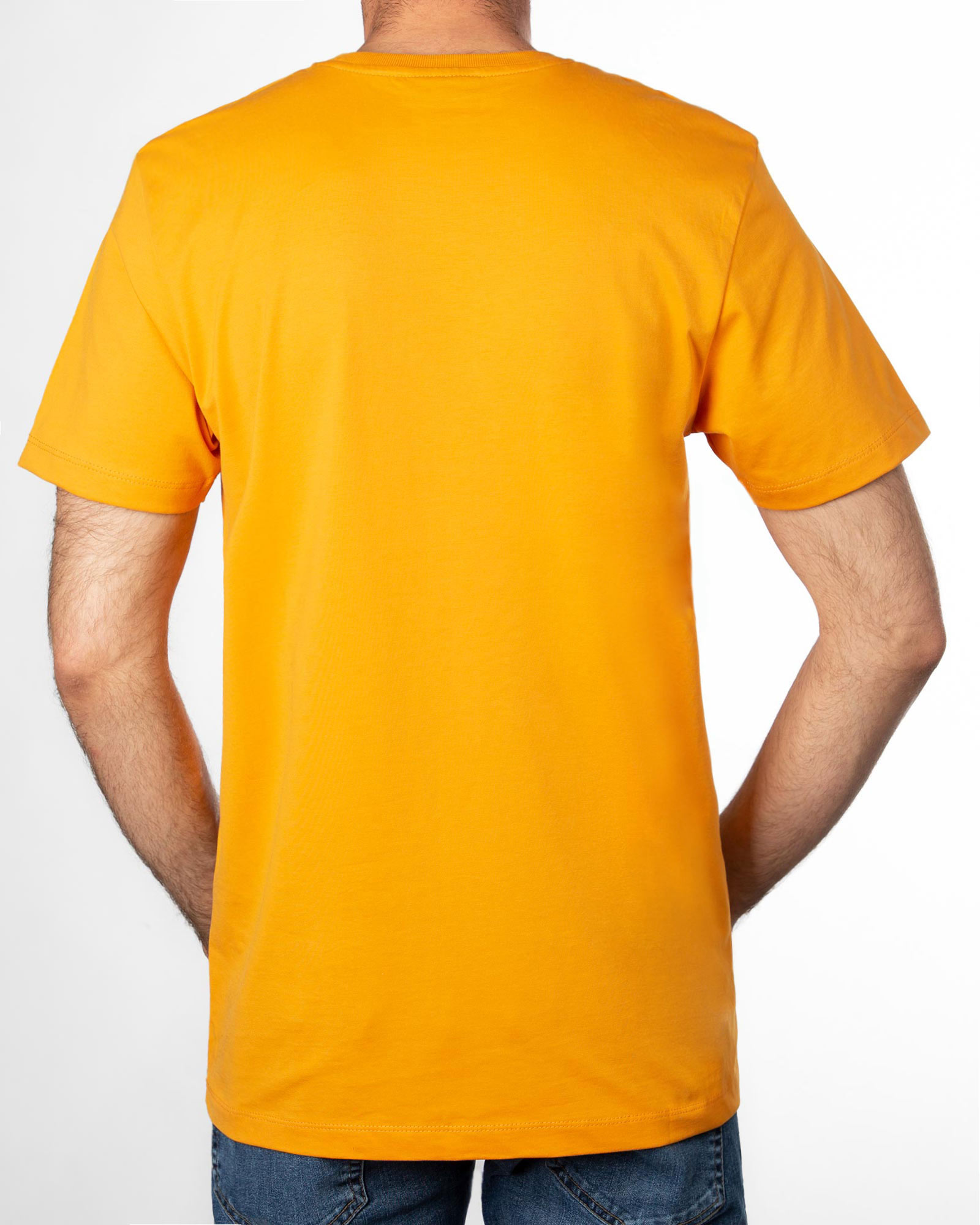 تیشرت طرج چاپی مردانه 2013- عسلی (2)