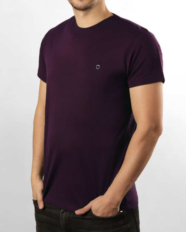 تیشرت بیسیک مردانه طیف بنفش 2350new-t4 - بادمجانی