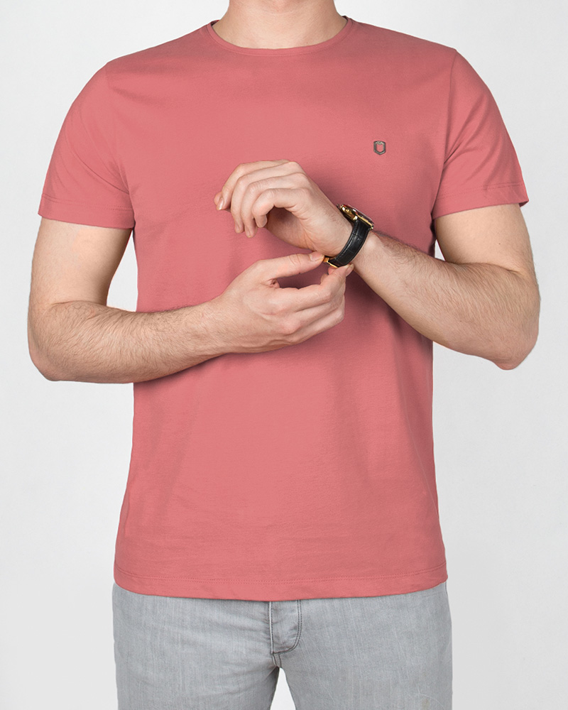 تیشرت بیسیک مردانه 2350new-t1 - گلبهی