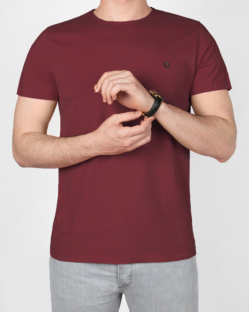 تیشرت بیسیک مردانه 2350new-t1 - عنابی