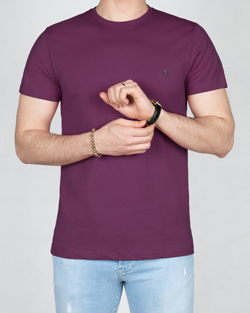 تیشرت بیسیک مردانه طیف بنفش 2350new-t4 - بنفش