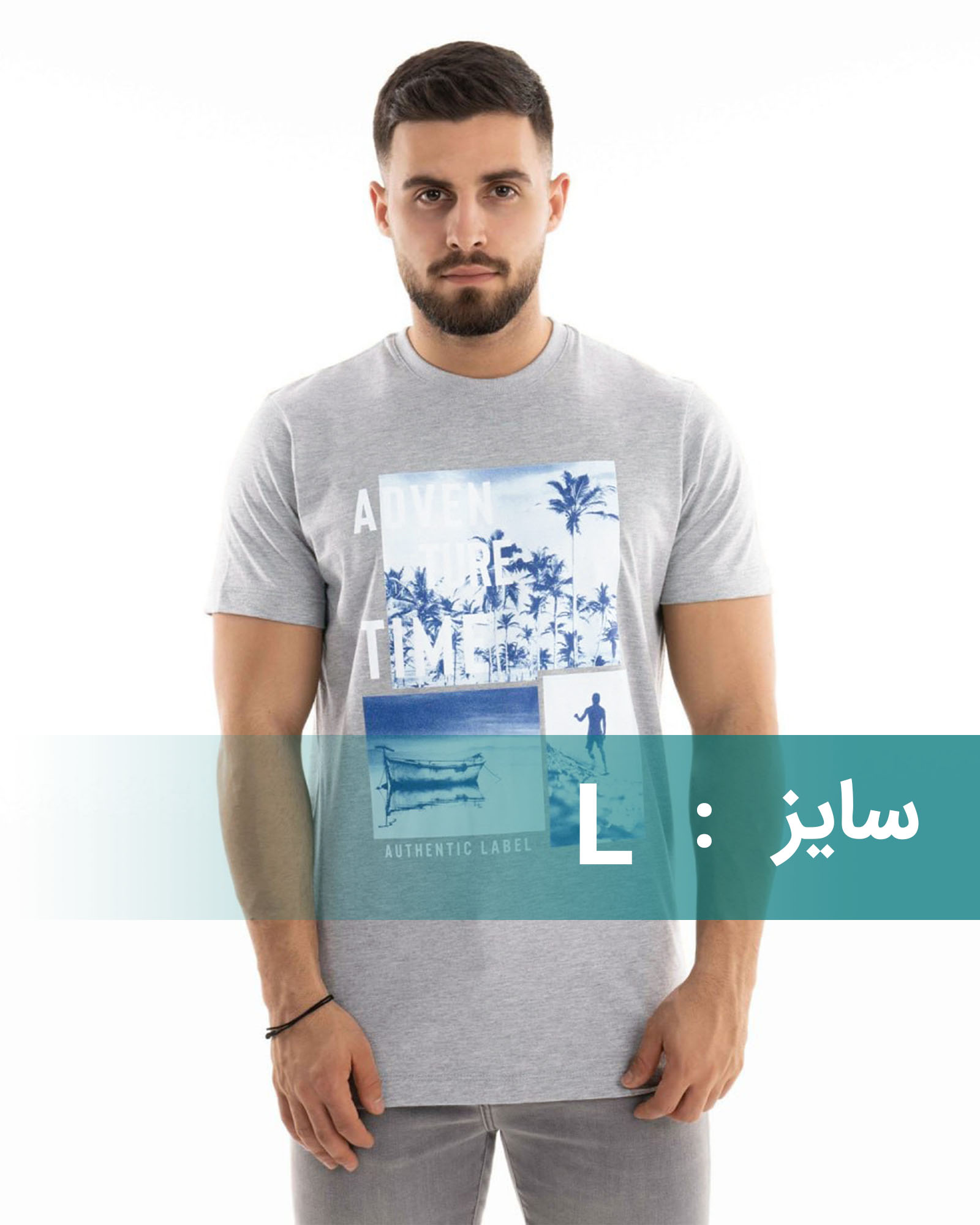 تیشرت مردانه طرح دار 2083