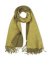dark-olive-green