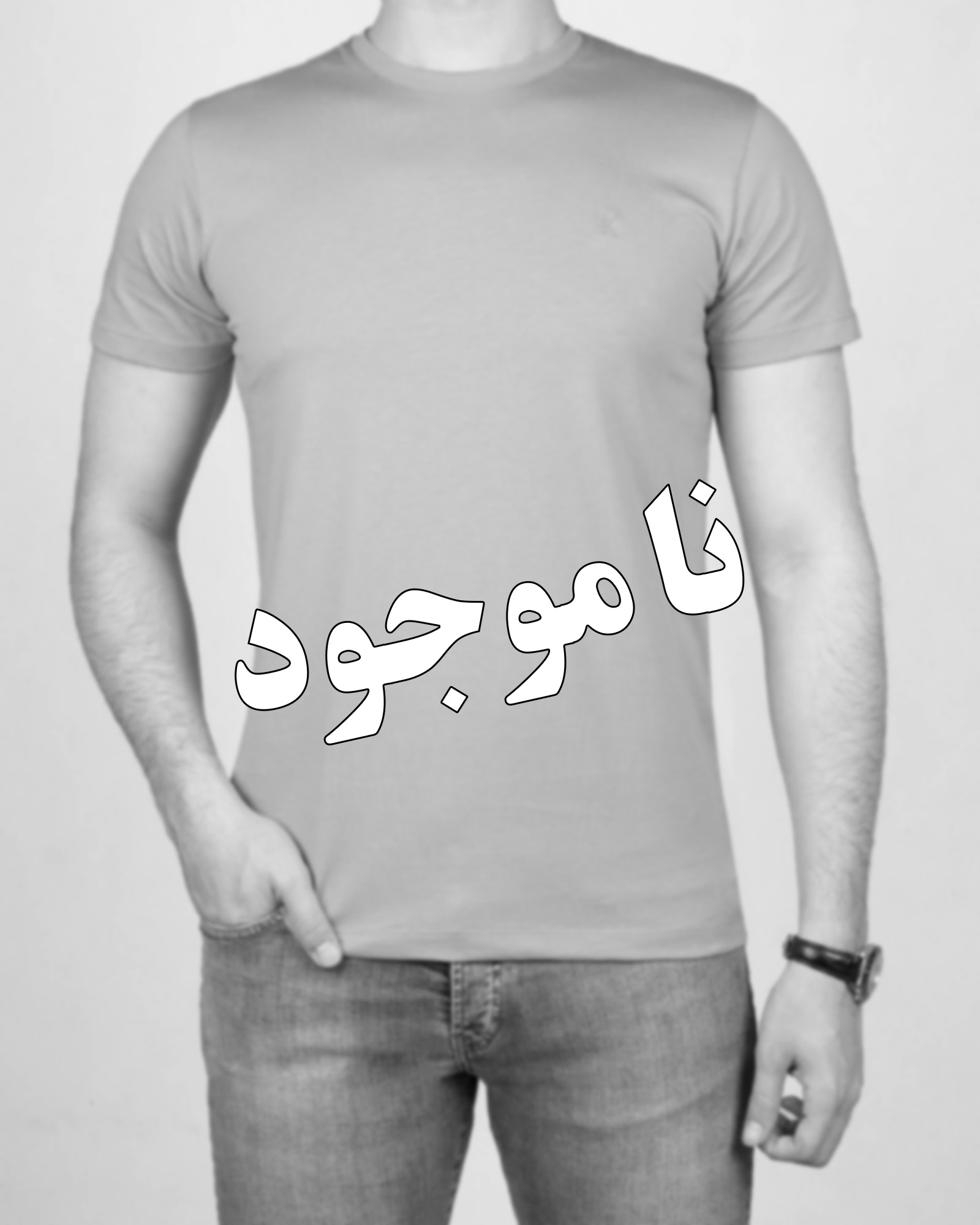 تیشرت مردانه آستین کوتاه - طوسی کمرنگ