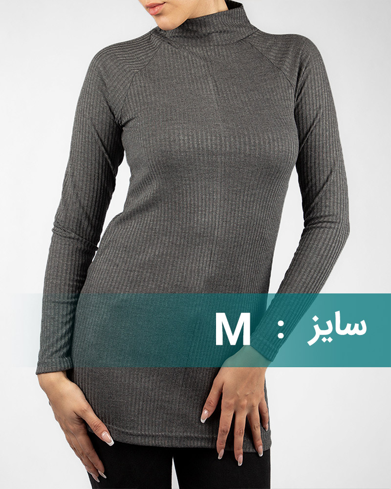 زیرسارافونی 040023 - طوسی