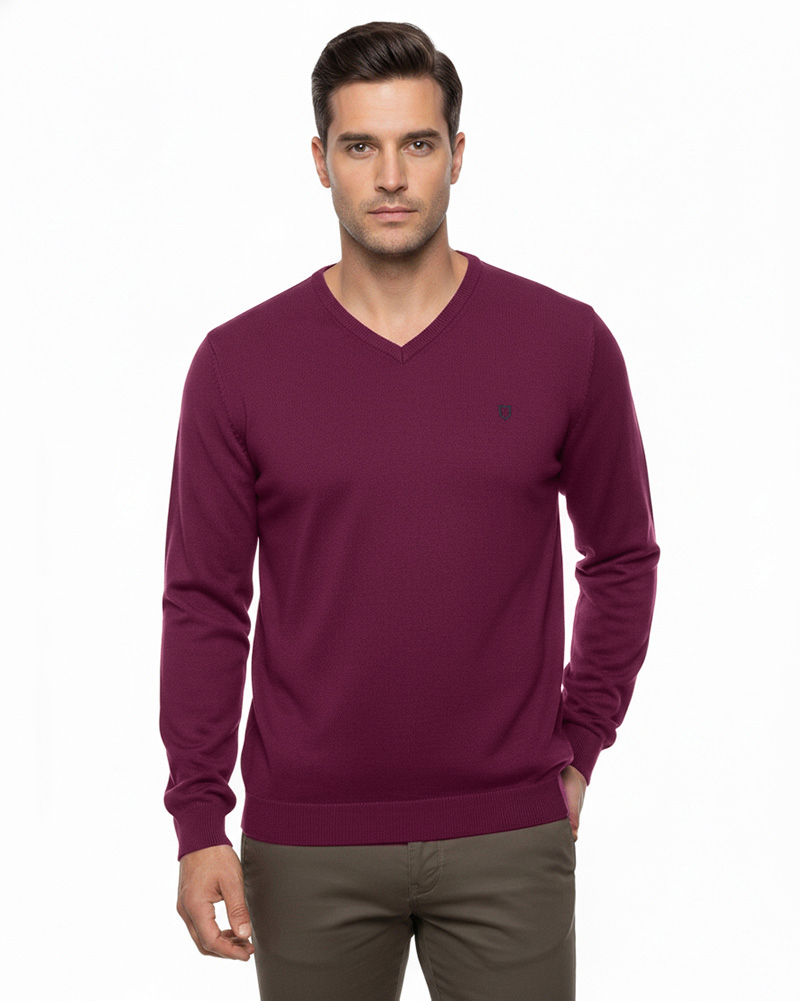 پلیور بافت مردانه 6405 - بنفش