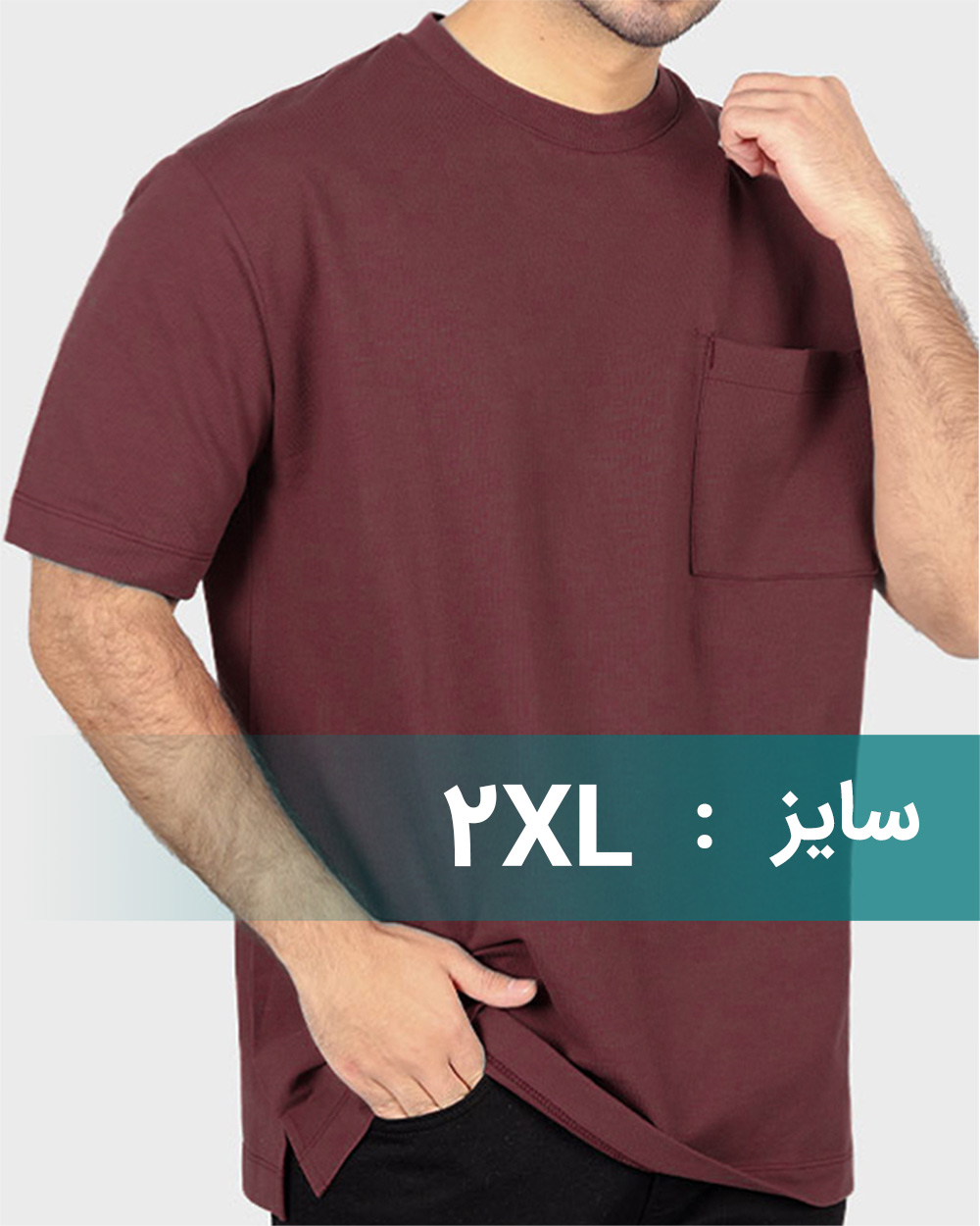 تیشرت بیسیک مردانه 031623 - جگری