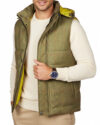 dark-olive-green
