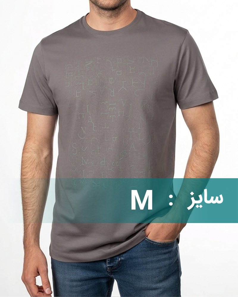 تیشرت طرح چاپی مردانه 2013 - خاکستری